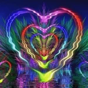 Meet your Posher, Anne